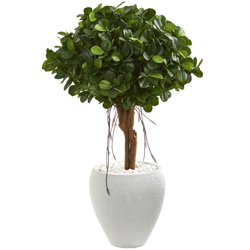 Wrought Studio Artificial Ficus Tree in Pot Wayfair